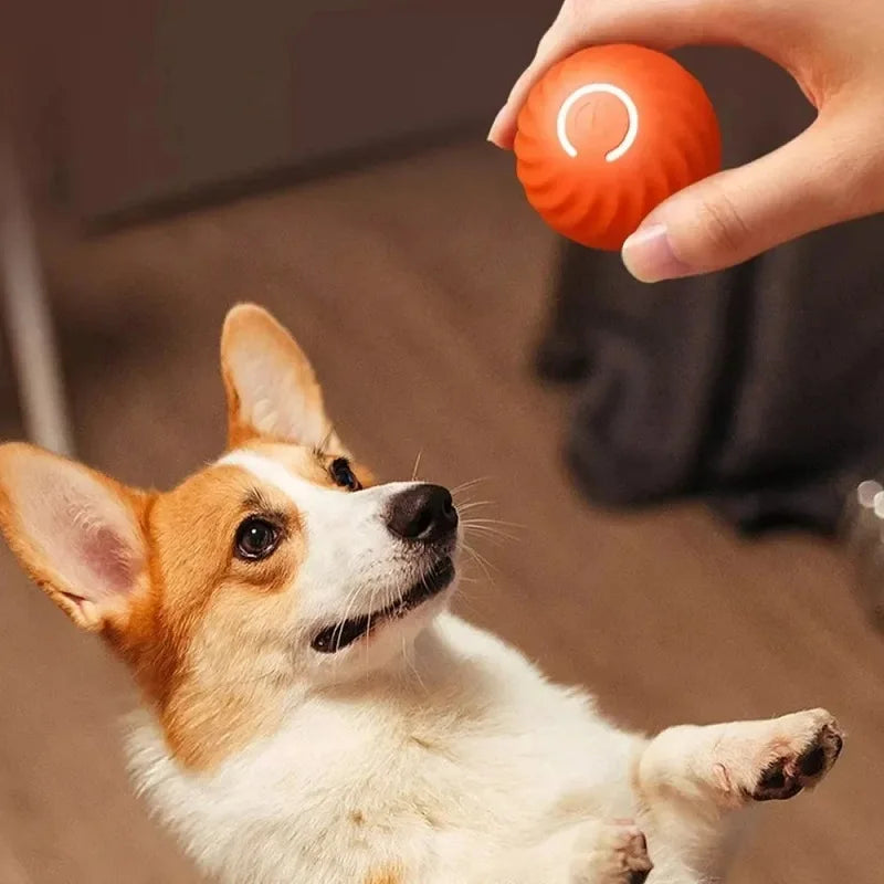 Smart Dog Toys Ball Electronic Interactive Pet Toy Moving Ball USB Automatic Moving Bouncing for Puppy Birthday gift Cat Product