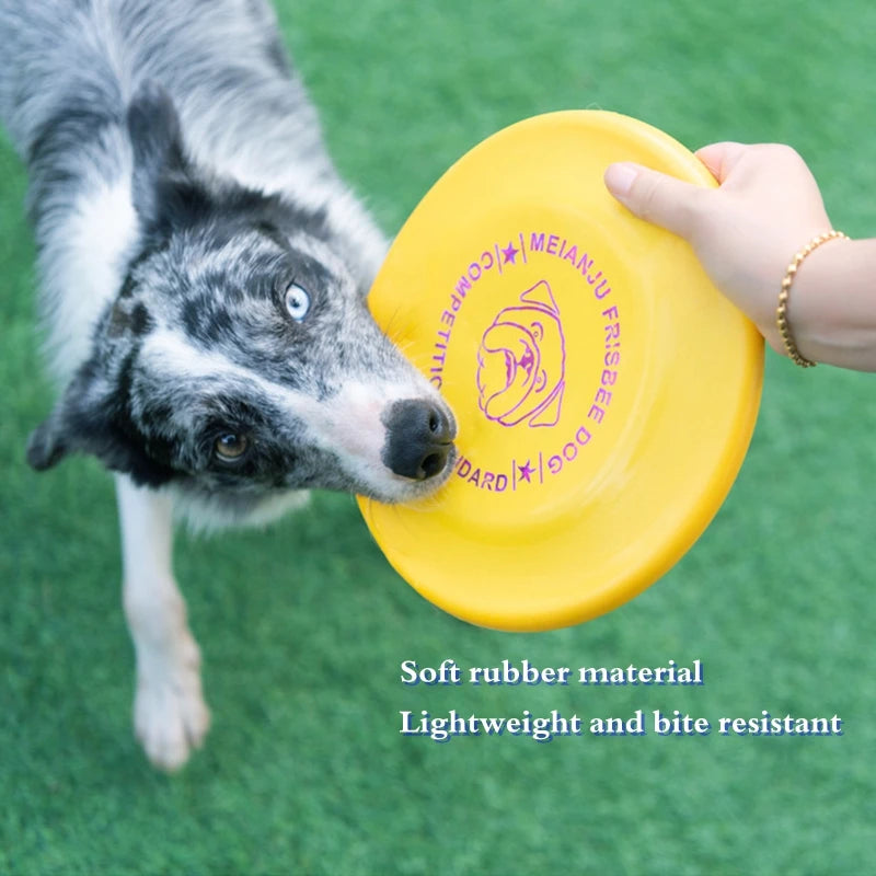 Hundescheibe für Training & Spiel – robust & bissfest