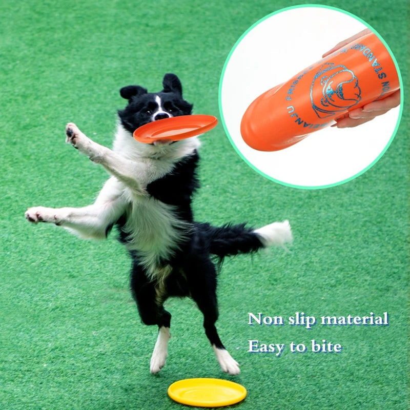Hundescheibe für Training & Spiel – robust & bissfest